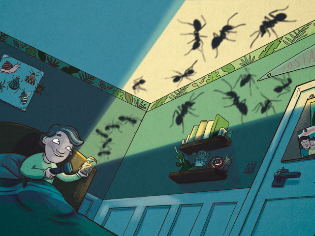 school, bugs, insects, playful, teacher, boy bedroom, science class