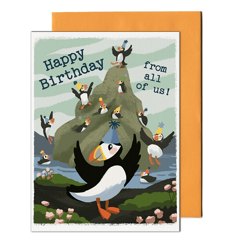 puffins birthday greeting card by pencil empire
