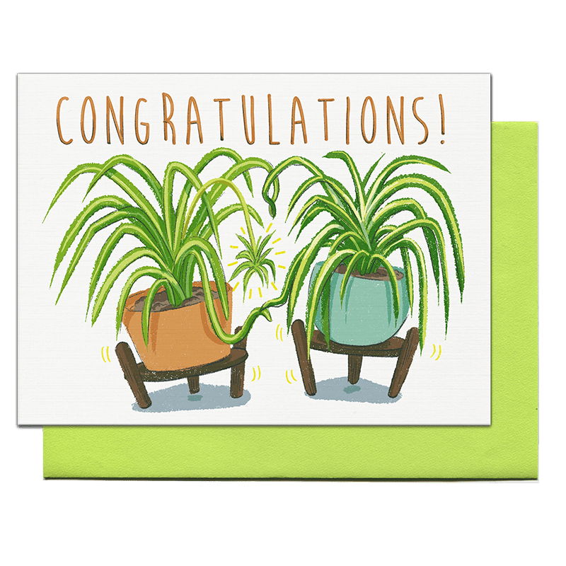 spider plant baby congratulations greeting card by pencil empire